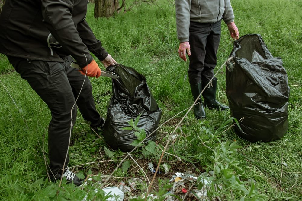 Two people cleaning up litter in a grassy area, filling large black garbage bags.